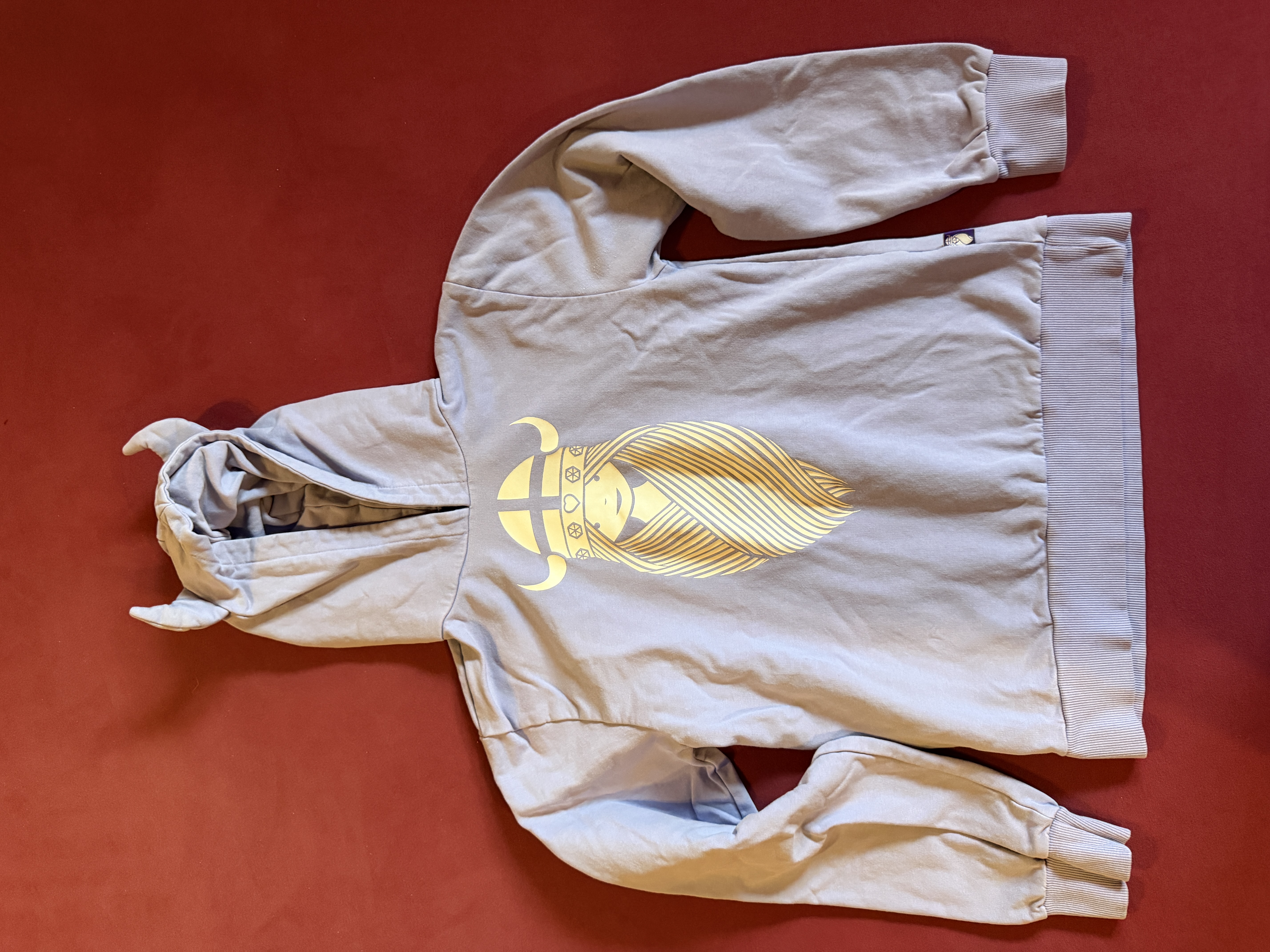 Danefae Hoodie DANEWARRIOR FREJA