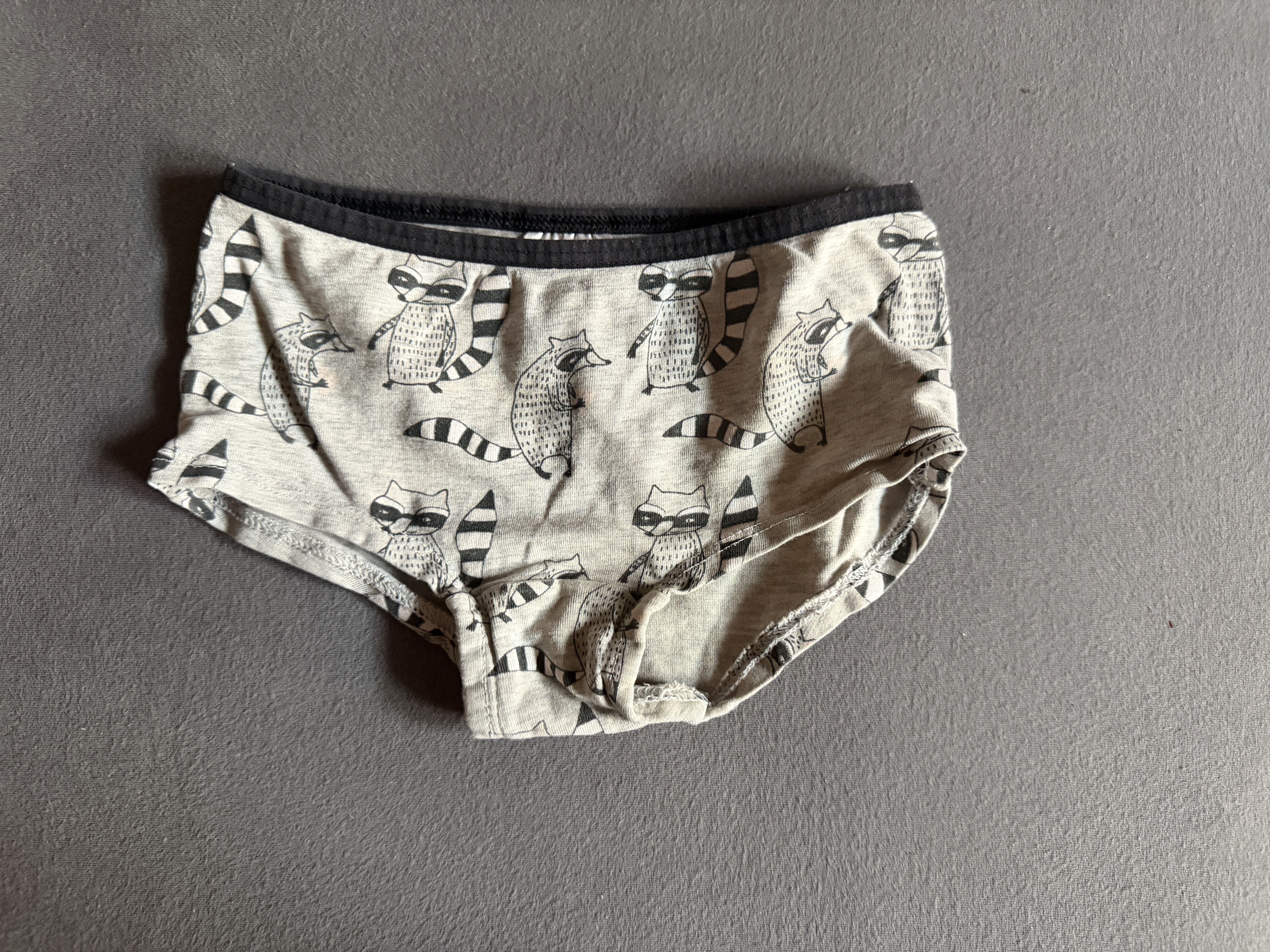Unterhose mit Waschbären