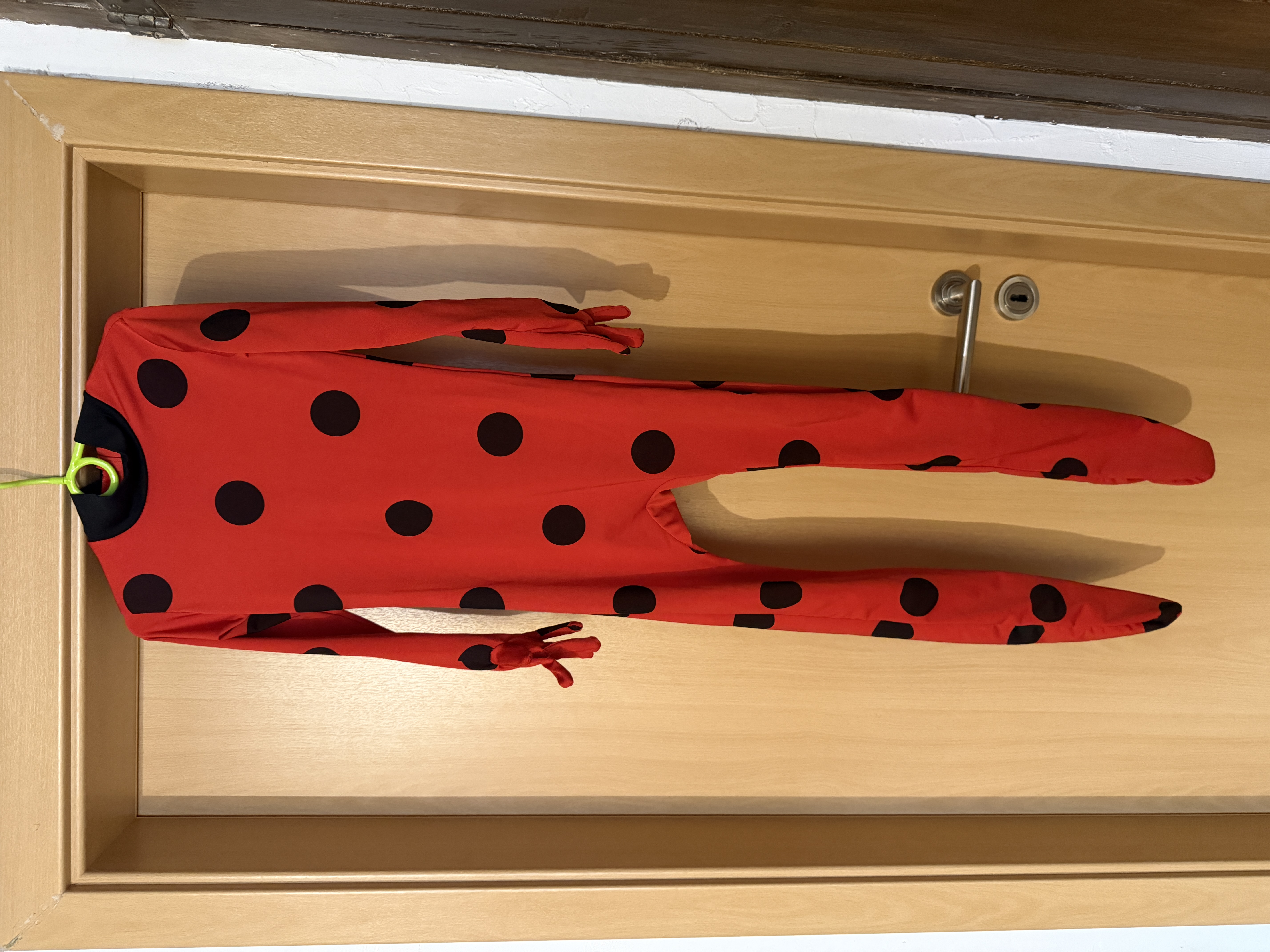 Ladybug-Kostüm