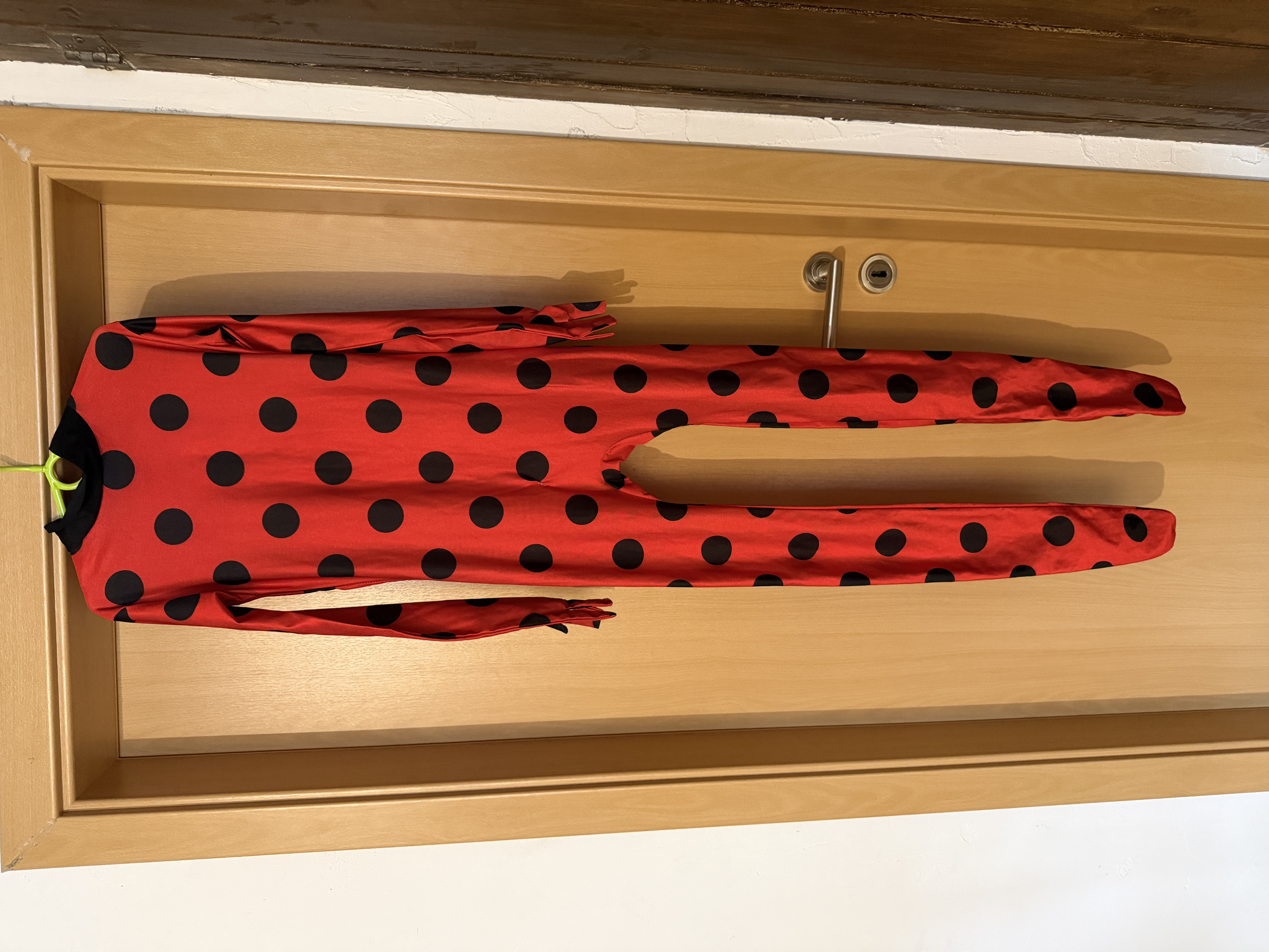 Ladybug-Kostüm